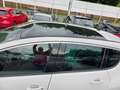 Peugeot 3008 1,6 BlueHDi Active/Lucky Car Pickerl/Panoramadach Weiß - thumbnail 16