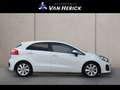 Kia Rio 1.2 CVVT DynamicLine | Cruise | Camera | LM velg Blanco - thumbnail 3