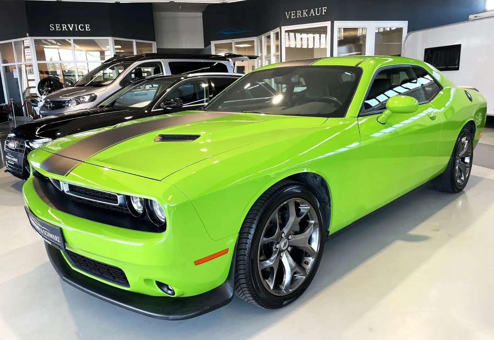 Dodge Challenger SXT 3,6l V6 NAVI+Leder+Sitzbelüftung Green - 2