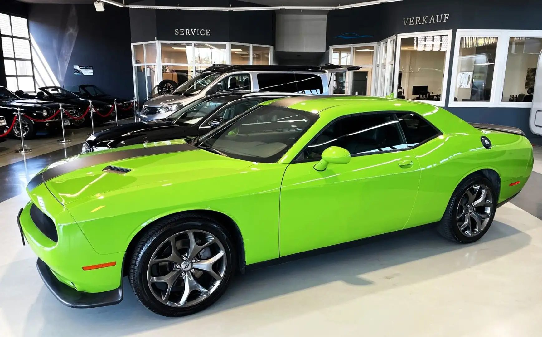 Dodge Challenger SXT 3,6l V6 NAVI+Leder+Sitzbelüftung Green - 1