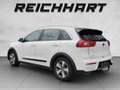 Kia Niro KIA Niro 1,6 GDI Hybrid Silber DCT Weiß - thumbnail 3