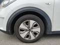 Kia Niro KIA Niro 1,6 GDI Hybrid Silber DCT Weiß - thumbnail 15