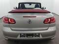 Volkswagen Golf Cabriolet Lounge BMT/nur 22.691 Km/Scheckheft/Navi/Tempomat Grey - thumbnail 16