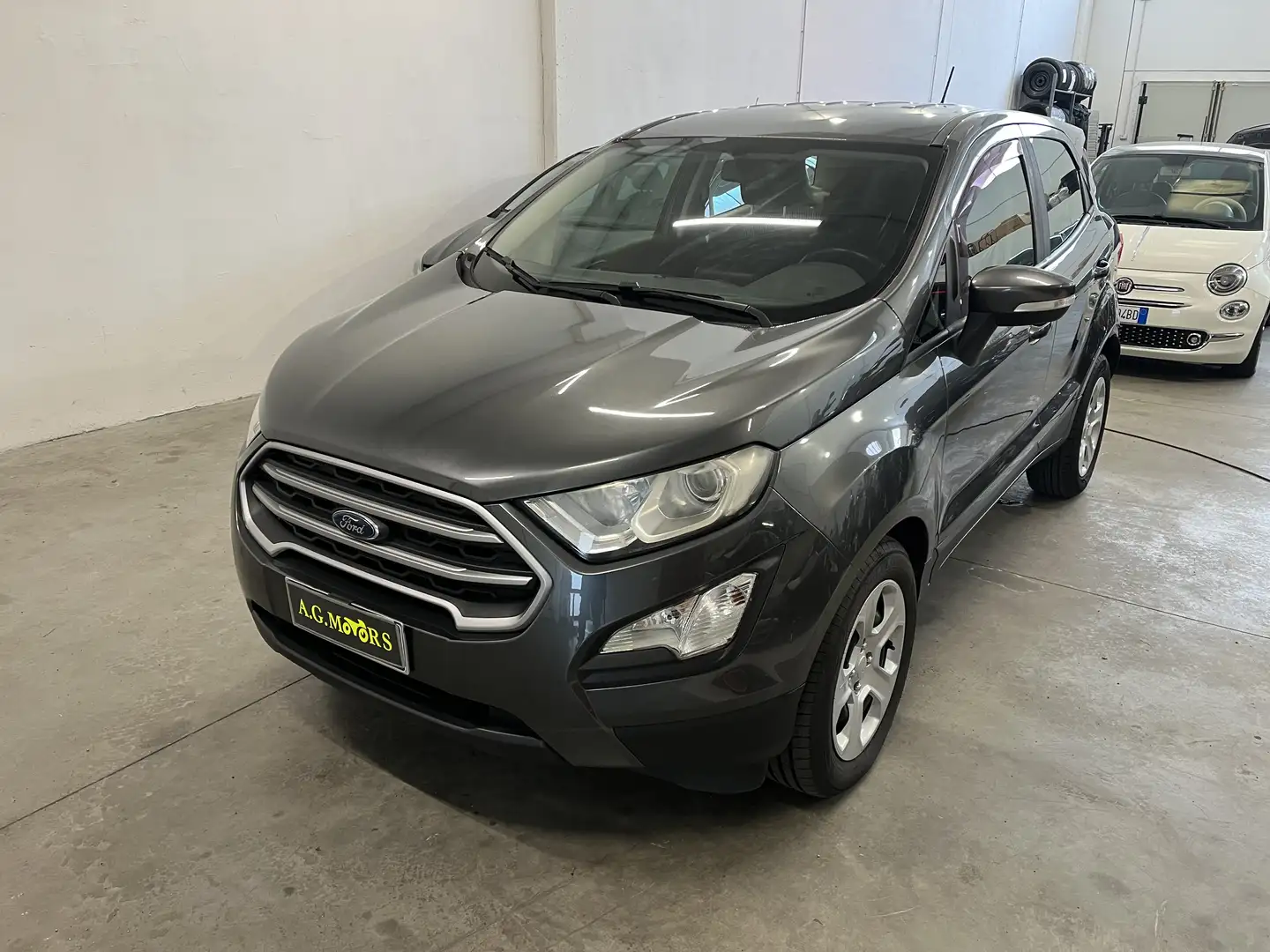 Ford EcoSport EcoSport 2019 1.0 ecoboost Grigio - 1