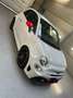 Abarth 595 Pista - thumbnail 4