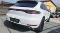 Porsche Macan 2.0  245 CV PDK TETTO PELLE VENTILATI PDLS RADAR Wit - thumbnail 6