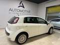 Fiat Punto Evo Punto Evo 5p 1.3 mjt Active 75cv Weiß - thumbnail 5