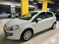 Fiat Punto Evo Punto Evo 5p 1.3 mjt Active 75cv Weiß - thumbnail 6