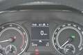 Skoda Fabia Style 1.0 TSI 110Pk DSG / NAVI / CARPLAY / PARKSEN Zilver - thumbnail 26