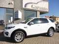 Land Rover Discovery Sport Discovery Sport 2.0 td4 SE awd 150cv auto my19 Wit - thumbnail 1