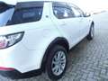 Land Rover Discovery Sport Discovery Sport 2.0 td4 SE awd 150cv auto my19 Wit - thumbnail 4