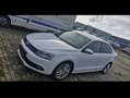 Volkswagen Jetta Life " TÜV NEU " Automatik "Steuerkette Nagelneu" Biały - thumbnail 1