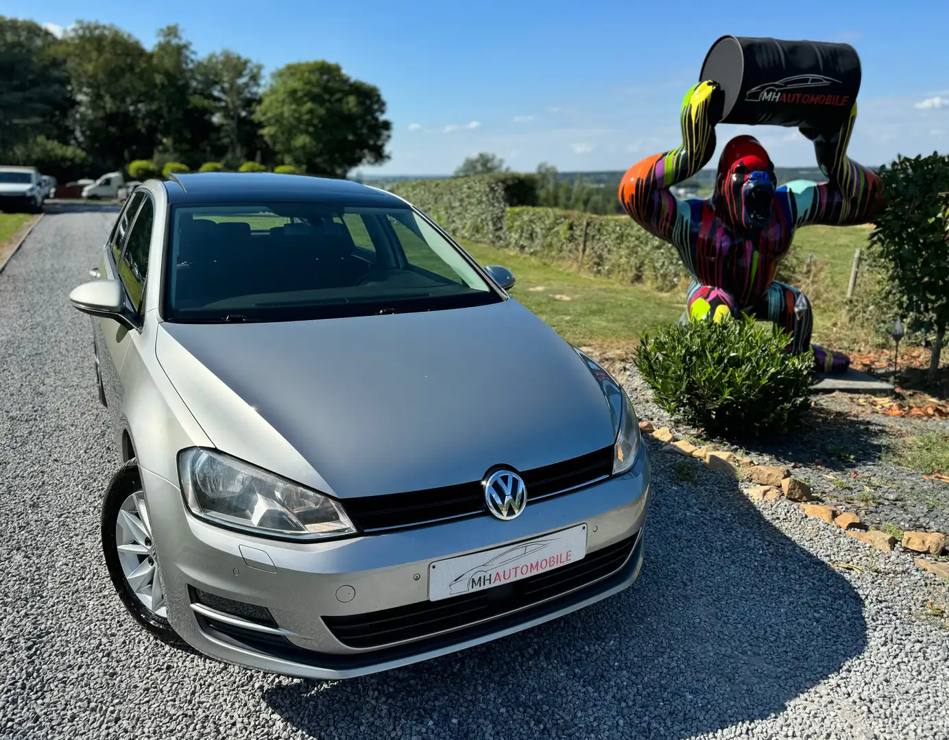 Volkswagen Golf Golf 1.6 CR TDi DSG Grigio - 2