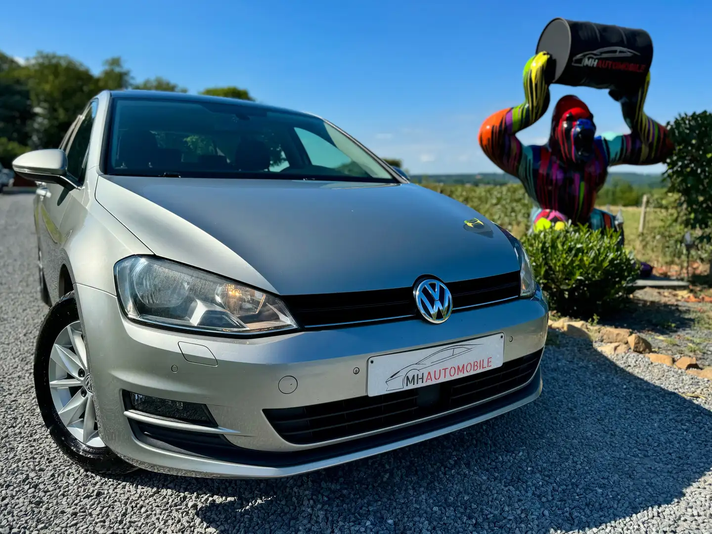 Volkswagen Golf Golf 1.6 CR TDi DSG Grigio - 1