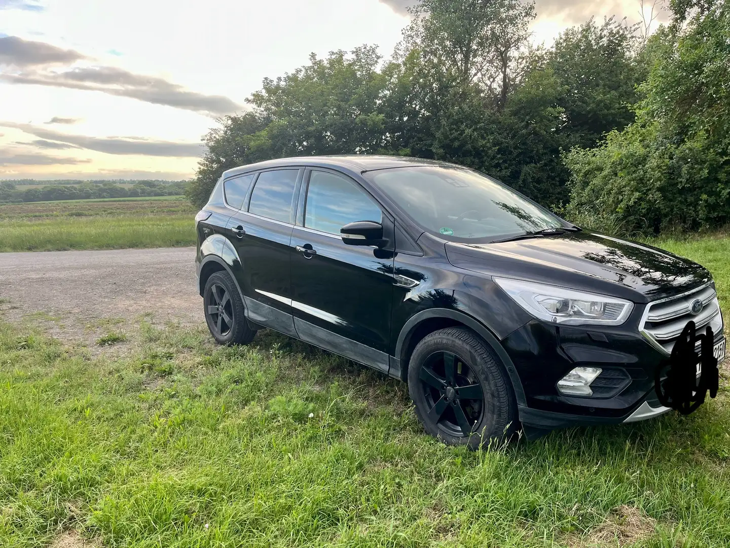 Ford Kuga 2.0 TDCi 2x4 Titanium - 2