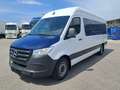 Mercedes-Benz Sprinter 317 MAXI | Klima | Kamera | Tempomat Weiß - thumbnail 1