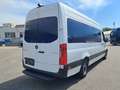 Mercedes-Benz Sprinter 317 MAXI | Klima | Kamera | Tempomat Weiß - thumbnail 8