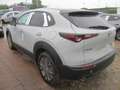 Mazda CX-30 /G140/AT/Homura Grau - thumbnail 7
