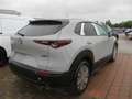 Mazda CX-30 /G140/AT/Homura Grau - thumbnail 5