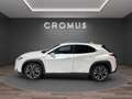 Lexus UX 200 250h 2.0 Luxury 2wd cvt - thumbnail 5