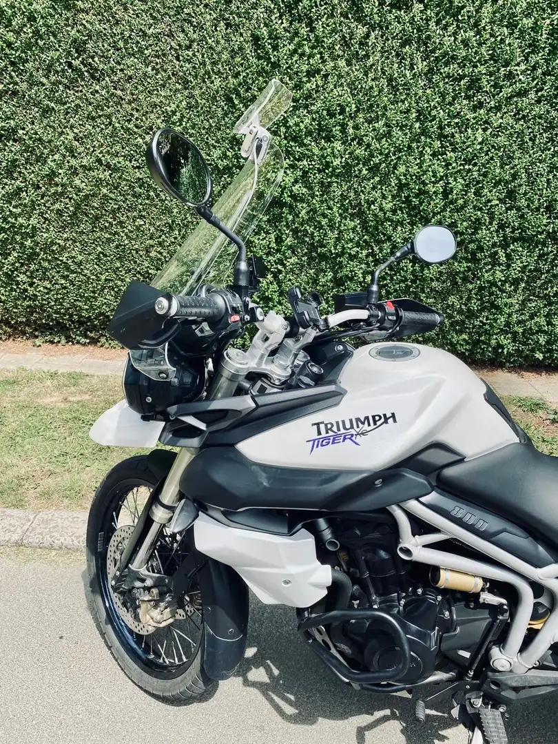Triumph Tiger 800 XC Blanc - 2