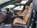 Lexus ES 300 300h Executive Negro - thumbnail 34