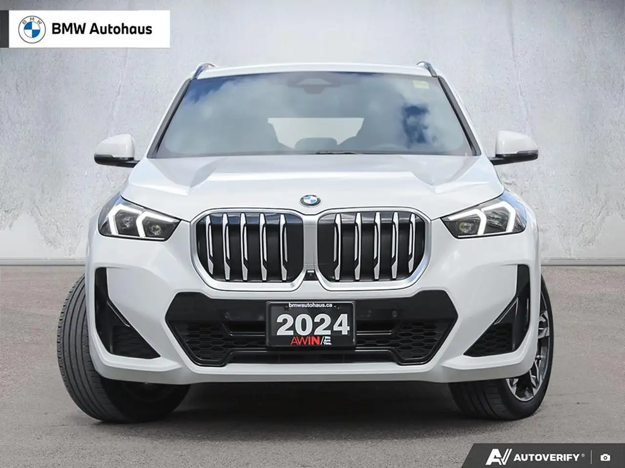 BMW X1 photo BMW X1