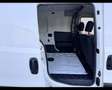 Fiat Doblo cargo maxi 1.6 mjt 105cv LH1 Business S&S Weiß - thumbnail 15