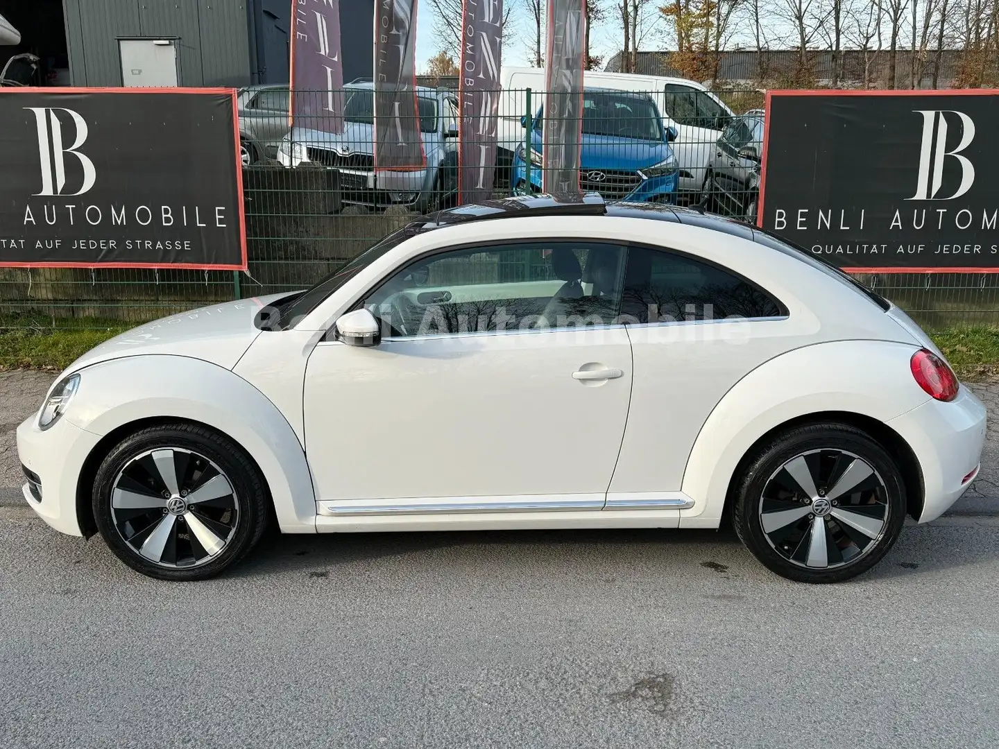 Volkswagen Beetle Lim. Design/DSG/PANO/LEDER/KLIMA/SHZ/TMP Weiß - 2