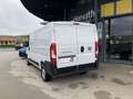 Fiat Ducato Ducato 30 L2H1 BlueHDi 120 S&S Weiß - thumbnail 9