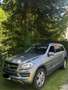 Mercedes-Benz GL 350 BlueTEC 4Matic 7G-TRONIC Vollauslastung - thumbnail 8