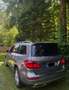 Mercedes-Benz GL 350 BlueTEC 4Matic 7G-TRONIC Vollauslastung - thumbnail 7