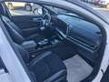 Kia Sportage 1.6 crdi mhev GT-line Plus dct Blanc - thumbnail 11