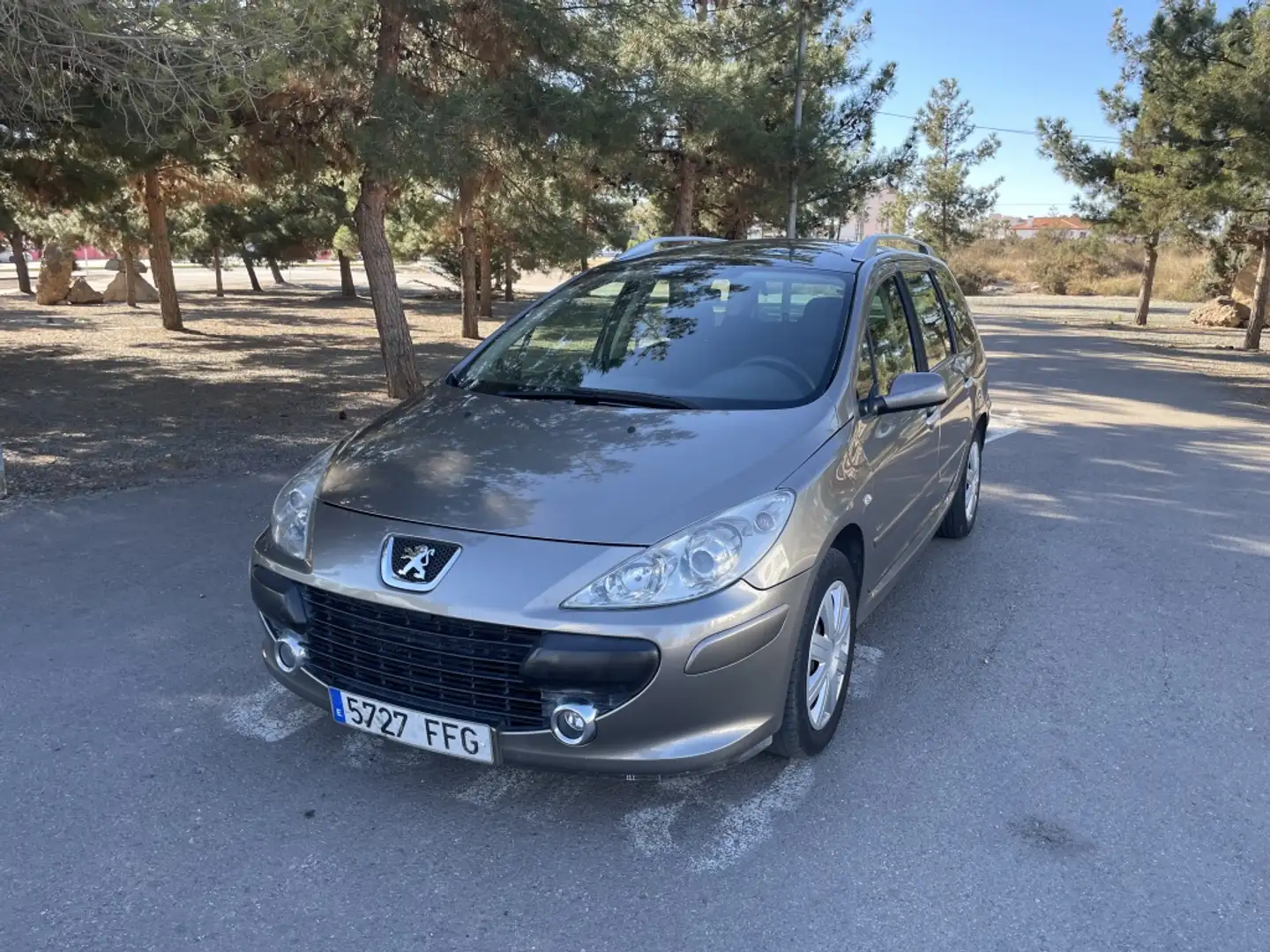 Peugeot 307 1.6HDI D-Sign 110 Marrone - 2