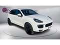 Porsche Cayenne 3.0 V6 TDI 262 BVA Tiptronic S Platinum Edition - SIEGES CHAUFFANTS / ALCANTARA Blanco - thumbnail 3