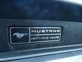Ford Mustang GT V8 WOLF Noir - thumbnail 10
