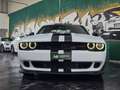 Dodge Challenger 3.6 SXT PLUS *TARGATA Blanc - thumbnail 4