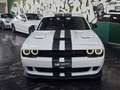Dodge Challenger 3.6 SXT PLUS *TARGATA Blanc - thumbnail 5