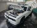 Dodge Challenger 3.6 SXT PLUS *TARGATA Blanc - thumbnail 10