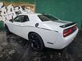 Dodge Challenger 3.6 SXT PLUS *TARGATA Blanc - thumbnail 8