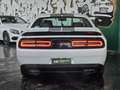Dodge Challenger 3.6 SXT PLUS *TARGATA Blanc - thumbnail 6