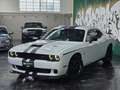 Dodge Challenger 3.6 SXT PLUS *TARGATA Blanc - thumbnail 1