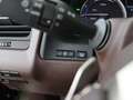 Lexus RX 450h AWD President Line | Panoramadak | Display head-up Vert - thumbnail 19