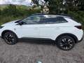 Opel Grandland X Grandland X Diesel 1.5 D Start/Stop Automatik 2020 Weiß - thumbnail 1