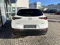 Mazda CX-30 180PS Automatik Matrix-LED Bose 360Grad Carplay Blanc - thumbnail 5