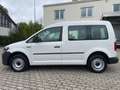 Volkswagen Caddy Kombi 2.0 TDI Trendline Klima AHK 5-Sitze Weiß - thumbnail 5