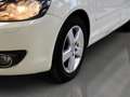 Volkswagen Golf Plus 1.2 TSI Style*SHZ*ALU* Weiß - thumbnail 6