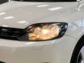 Volkswagen Golf Plus 1.2 TSI Style*SHZ*ALU* Weiß - thumbnail 5
