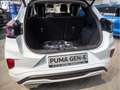 Ford Puma Gen-E Basis 43 kWh +WINTERPAKET Белый - thumbnail 19