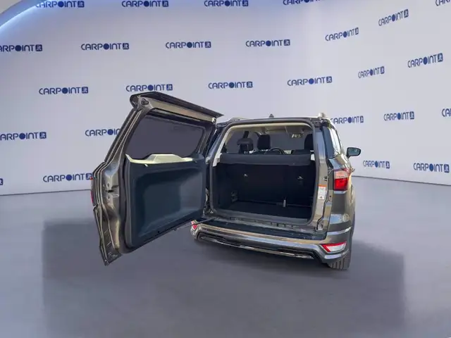 Ford Ecosport view 17